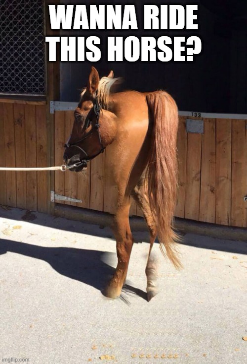 Mutant | WANNA RIDE THIS HORSE? | image tagged in unsee juice | made w/ Imgflip meme maker