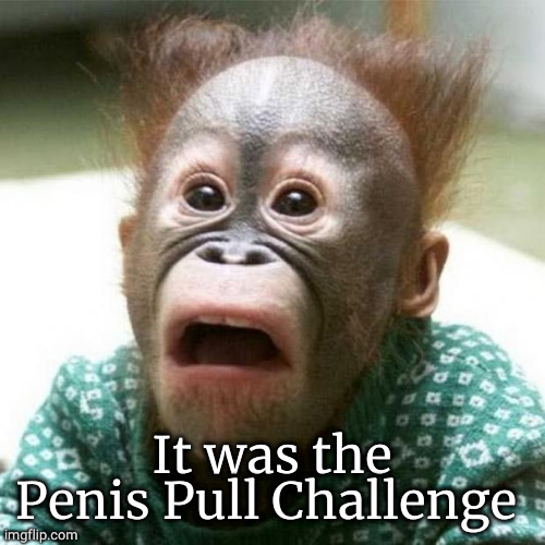Shocked Monkey | It was the Penis Pull Challenge | image tagged in shocked monkey | made w/ Imgflip meme maker