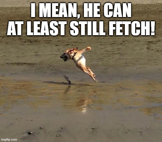 Dog? | I MEAN, HE CAN AT LEAST STILL FETCH! | image tagged in unsee juice | made w/ Imgflip meme maker