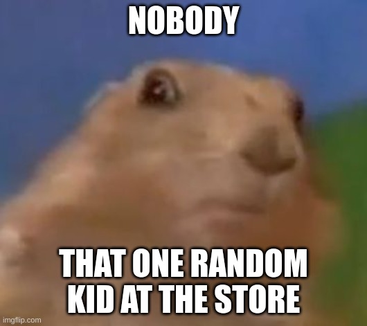 Suprised Chipmunk | NOBODY; THAT ONE RANDOM KID AT THE STORE | image tagged in suprised chipmunk | made w/ Imgflip meme maker
