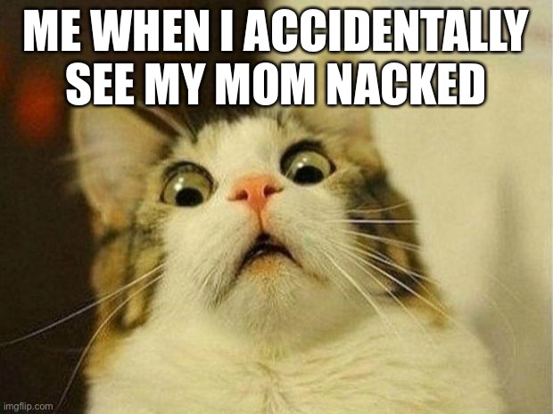 Ahhhhhhhh | ME WHEN I ACCIDENTALLY SEE MY MOM NACKED | image tagged in memes,scared cat | made w/ Imgflip meme maker