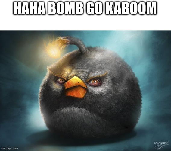 angry birds bomb | HAHA BOMB GO KABOOM | image tagged in angry birds bomb | made w/ Imgflip meme maker