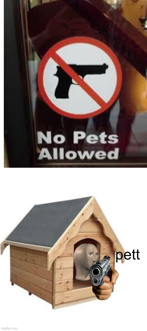 Wait what | pett | image tagged in wait what,pets,you had one job,memes,meme man | made w/ Imgflip meme maker