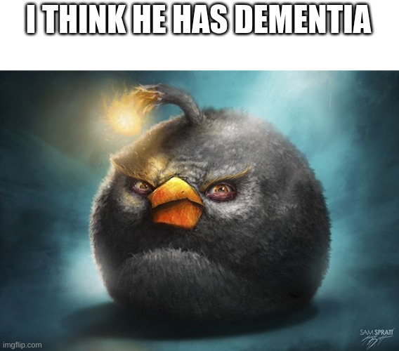 angry birds bomb | I THINK HE HAS DEMENTIA | image tagged in angry birds bomb | made w/ Imgflip meme maker