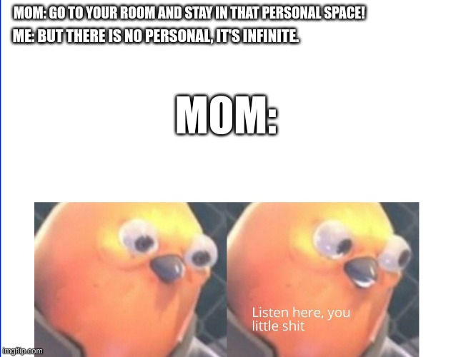 I DISOWN YOU AS MY SON REEEEEE- | MOM: GO TO YOUR ROOM AND STAY IN THAT PERSONAL SPACE! ME: BUT THERE IS NO PERSONAL, IT'S INFINITE. MOM: | image tagged in listen here you little shit | made w/ Imgflip meme maker
