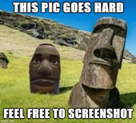 hard | THIS PIC GOES HARD; FEEL FREE TO SCREENSHOT | image tagged in hard | made w/ Imgflip meme maker