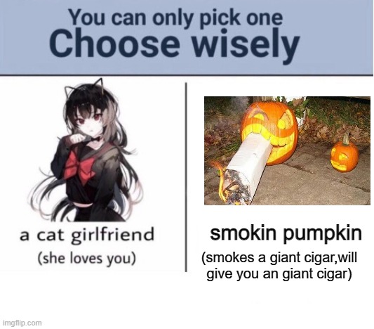 based pumpkin |  smokin pumpkin; (smokes a giant cigar,will give you an giant cigar) | image tagged in choose wisely,pumpkin,cigar | made w/ Imgflip meme maker