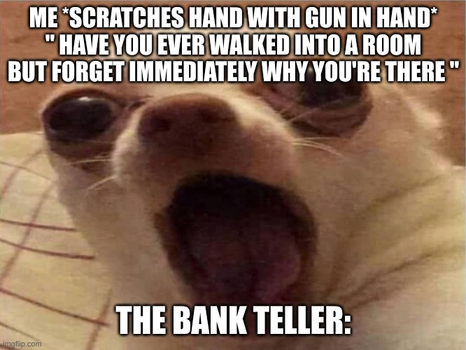 Suprised dog | ME *SCRATCHES HAND WITH GUN IN HAND*
" HAVE YOU EVER WALKED INTO A ROOM BUT FORGET IMMEDIATELY WHY YOU'RE THERE "; THE BANK TELLER: | image tagged in suprised dog | made w/ Imgflip meme maker