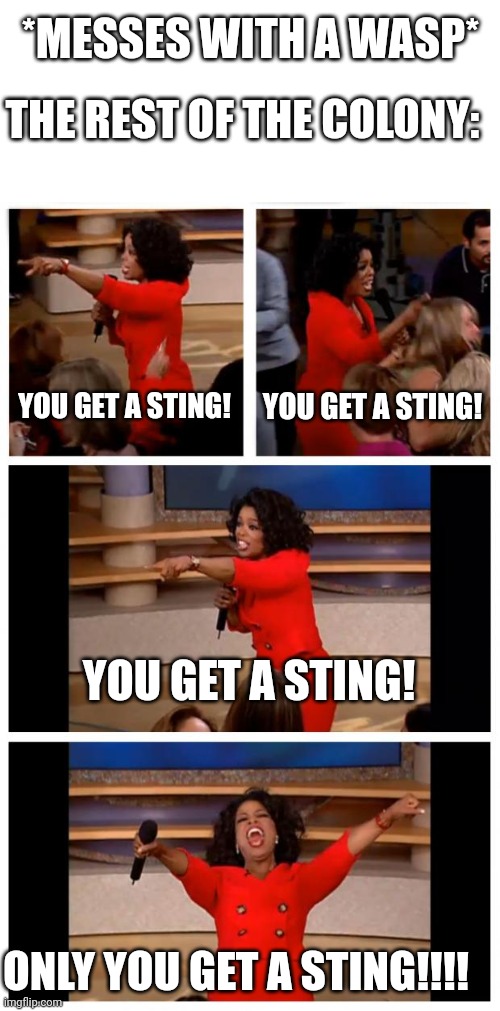 Oprah You Get A Car Everybody Gets A Car | *MESSES WITH A WASP*; THE REST OF THE COLONY:; YOU GET A STING! YOU GET A STING! YOU GET A STING! ONLY YOU GET A STING!!!! | image tagged in memes,oprah you get a car everybody gets a car | made w/ Imgflip meme maker