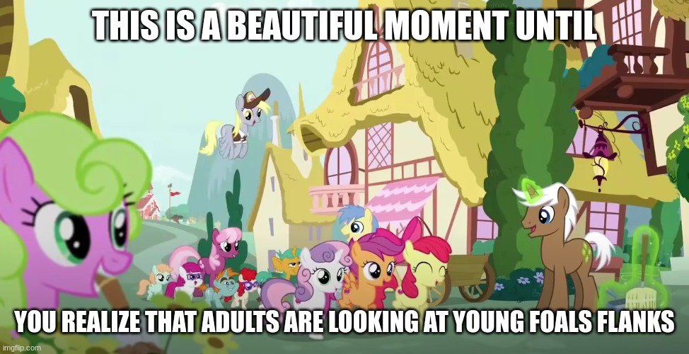 I mean, I'm not wrong | THIS IS A BEAUTIFUL MOMENT UNTIL; YOU REALIZE THAT ADULTS ARE LOOKING AT YOUNG FOALS FLANKS | image tagged in mlp,meme | made w/ Imgflip meme maker