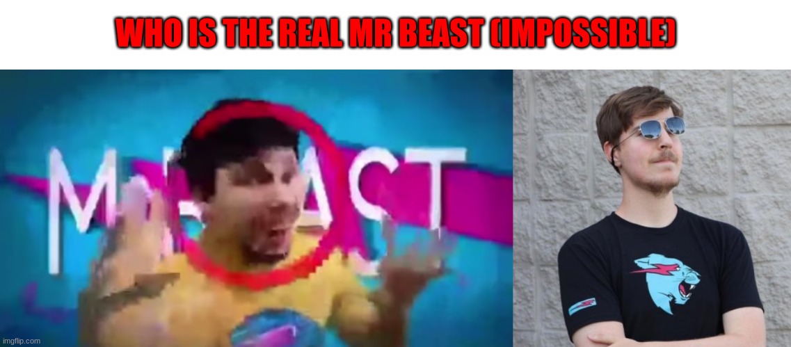 if you get it correct you get an upvote | WHO IS THE REAL MR BEAST (IMPOSSIBLE) | image tagged in low quality mr beast,mr beast | made w/ Imgflip meme maker