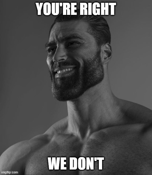 Giga Chad | YOU'RE RIGHT WE DON'T | image tagged in giga chad | made w/ Imgflip meme maker