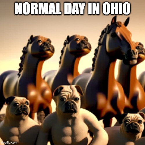 Only in Ohio? | NORMAL DAY IN OHIO | image tagged in only in ohio | made w/ Imgflip meme maker