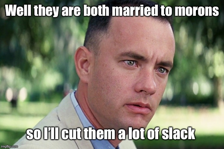 And Just Like That Meme | Well they are both married to morons so I’ll cut them a lot of slack | image tagged in memes,and just like that | made w/ Imgflip meme maker