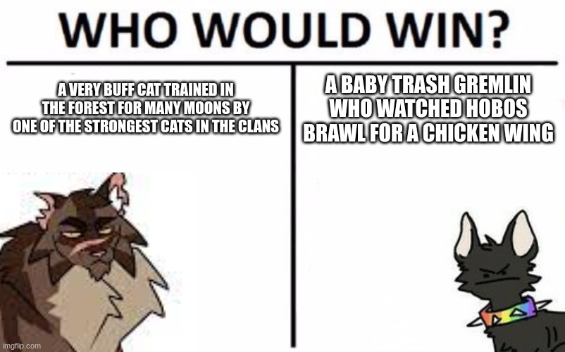 The logic in this... | A VERY BUFF CAT TRAINED IN THE FOREST FOR MANY MOONS BY ONE OF THE STRONGEST CATS IN THE CLANS; A BABY TRASH GREMLIN WHO WATCHED HOBOS BRAWL FOR A CHICKEN WING | image tagged in memes,who would win | made w/ Imgflip meme maker