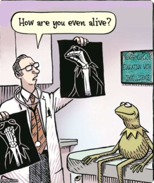 How are you alive? | image tagged in memes,dark humor | made w/ Imgflip meme maker