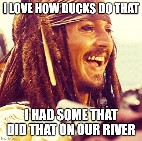 JACK LAUGH | I LOVE HOW DUCKS DO THAT I HAD SOME THAT DID THAT ON OUR RIVER | image tagged in jack laugh | made w/ Imgflip meme maker