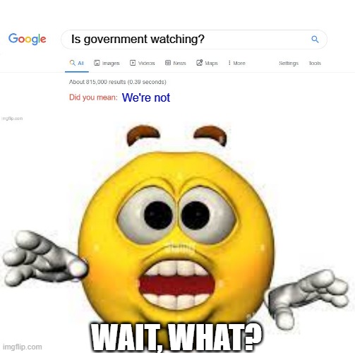Is government watching? We're not; WAIT, WHAT? | image tagged in did you mean | made w/ Imgflip meme maker