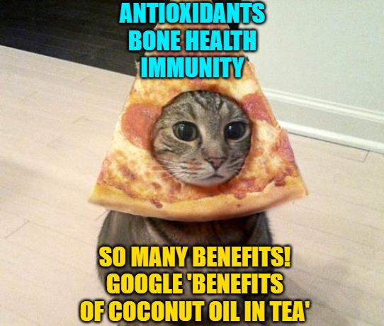 pizza cat | ANTIOXIDANTS
BONE HEALTH
IMMUNITY SO MANY BENEFITS!
GOOGLE 'BENEFITS OF COCONUT OIL IN TEA' | image tagged in pizza cat | made w/ Imgflip meme maker