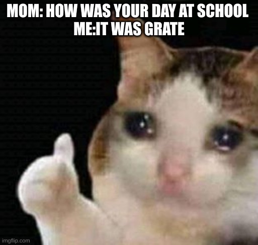 sad thumbs up cat | MOM: HOW WAS YOUR DAY AT SCHOOL 
ME:IT WAS GRATE | image tagged in sad thumbs up cat | made w/ Imgflip meme maker