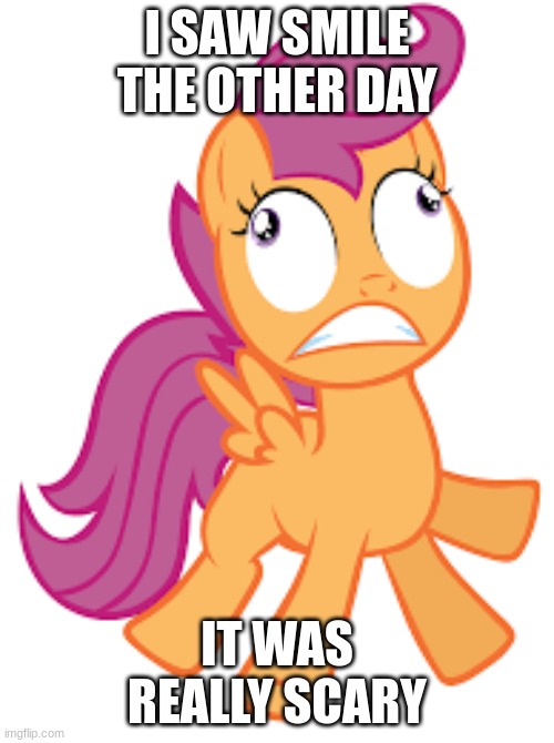 I SAW SMILE THE OTHER DAY; IT WAS REALLY SCARY | image tagged in mlp,scootaloo | made w/ Imgflip meme maker