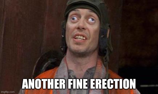 Fine erection | ANOTHER FINE ERECTION | image tagged in looks good to me | made w/ Imgflip meme maker
