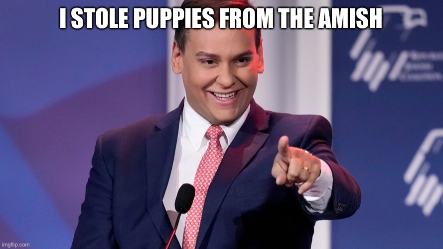 George Santos smile | I STOLE PUPPIES FROM THE AMISH | image tagged in george santos smile | made w/ Imgflip meme maker