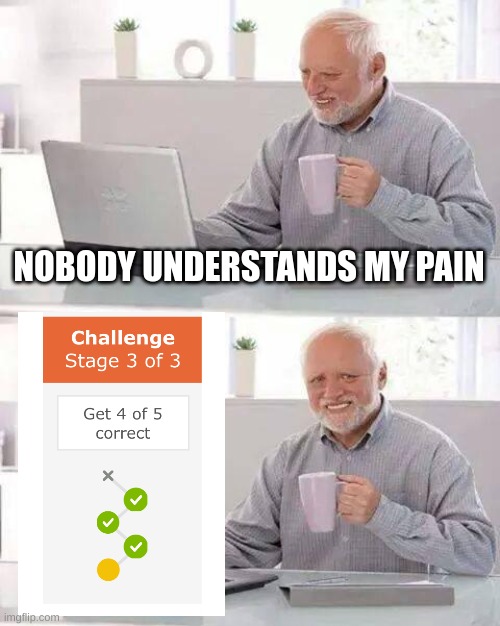 I hate IXL | NOBODY UNDERSTANDS MY PAIN | image tagged in memes,hide the pain harold | made w/ Imgflip meme maker