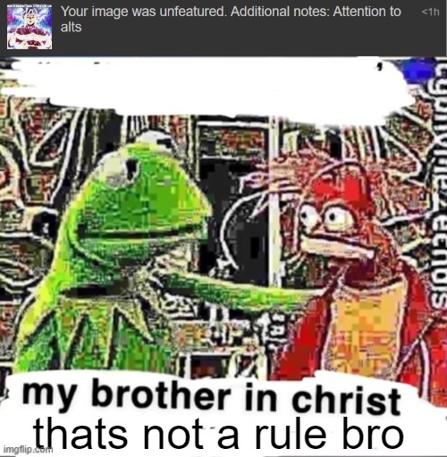 bruh | thats not a rule bro | image tagged in my brother in christ | made w/ Imgflip meme maker
