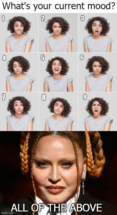 ALL OF THE ABOVE | image tagged in madonna,funny | made w/ Imgflip meme maker