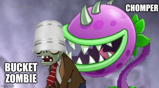 AJ Styles & Undertaker | CHOMPER; BUCKET ZOMBIE | image tagged in aj styles undertaker,pvz,plants vs zombies,plants,zombies | made w/ Imgflip meme maker