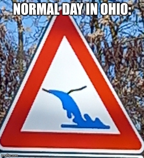 sorry you are in a forest | NORMAL DAY IN OHIO: | image tagged in funny | made w/ Imgflip meme maker