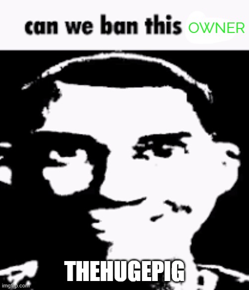 Can we ban this guy | OWNER; THEHUGEPIG | image tagged in can we ban this guy | made w/ Imgflip meme maker