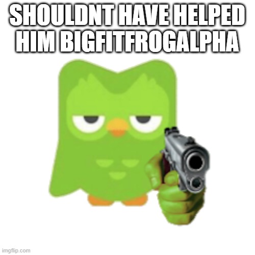 SHOULDNT HAVE HELPED HIM BIGFITFROGALPHA | image tagged in duolingo | made w/ Imgflip meme maker