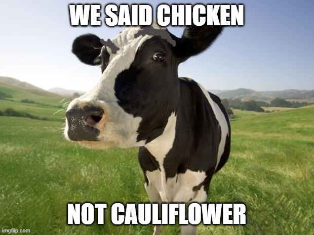 WHAT THE HEY, CHICK-FIL-A? | WE SAID CHICKEN; NOT CAULIFLOWER | image tagged in cow,what the hey,chick fil a,disgusting | made w/ Imgflip meme maker