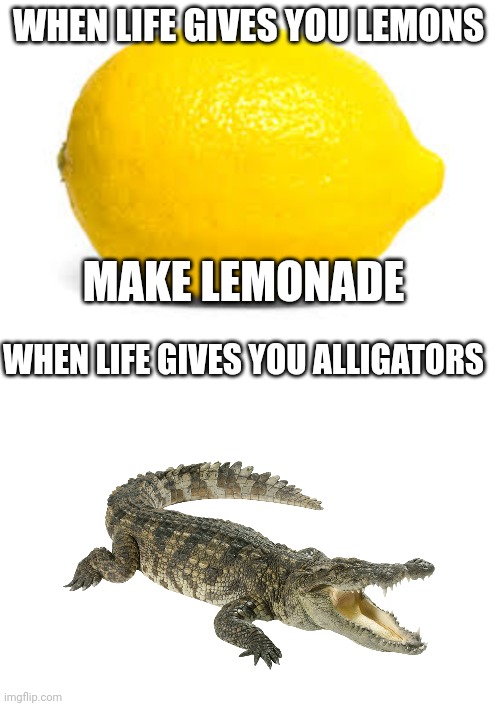 I used a crocodile >:) | WHEN LIFE GIVES YOU LEMONS; MAKE LEMONADE; WHEN LIFE GIVES YOU ALLIGATORS | image tagged in when life gives you lemons x,lol | made w/ Imgflip meme maker