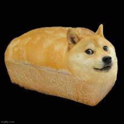 Doge Bread Loaf: DON'T EAT | image tagged in memes,dogs | made w/ Imgflip meme maker