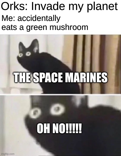 OH NO! | Orks: Invade my planet; Me: accidentally eats a green mushroom; THE SPACE MARINES; OH NO!!!!! | image tagged in oh no black cat | made w/ Imgflip meme maker