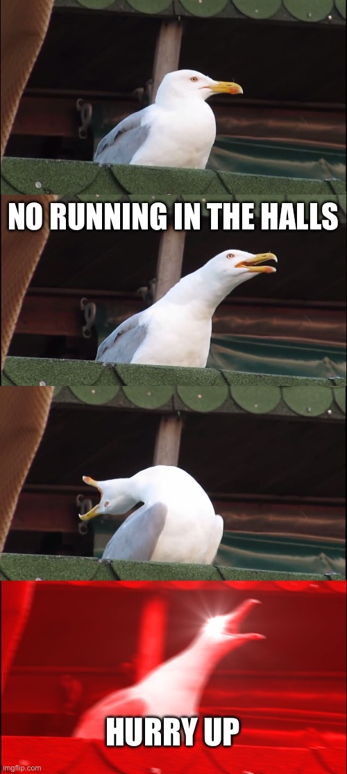 Inhaling Seagull | NO RUNNING IN THE HALLS; HURRY UP | image tagged in memes,inhaling seagull | made w/ Imgflip meme maker