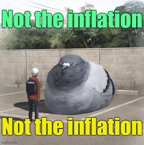 Beeg Birb | Not the inflation Not the inflation | image tagged in beeg birb | made w/ Imgflip meme maker