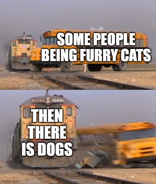 A train hitting a school bus | SOME PEOPLE BEING FURRY CATS; THEN THERE IS DOGS | image tagged in a train hitting a school bus | made w/ Imgflip meme maker