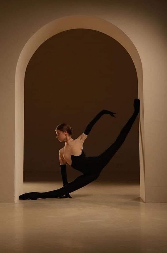 Olga Gritsyshyna Blank Meme Template