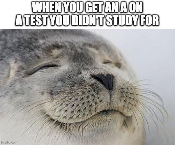 School | WHEN YOU GET AN A ON A TEST YOU DIDN'T STUDY FOR | image tagged in memes,satisfied seal | made w/ Imgflip meme maker