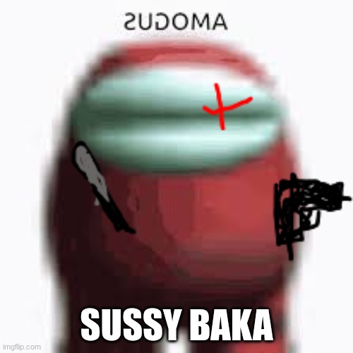 Why you such a sussy baka | SUSSY BAKA | image tagged in sus | made w/ Imgflip meme maker