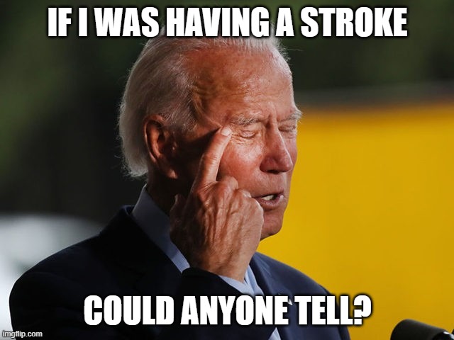 Biden Confused | IF I WAS HAVING A STROKE; COULD ANYONE TELL? | image tagged in biden confused | made w/ Imgflip meme maker