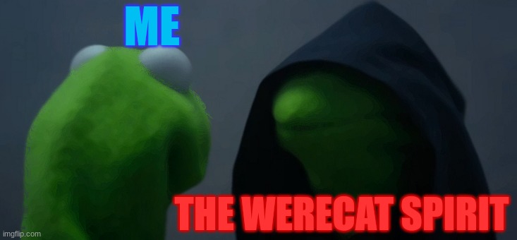 Evil Kermit | ME; THE WERECAT SPIRIT | image tagged in memes,evil kermit,cats | made w/ Imgflip meme maker