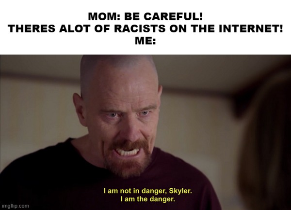 i am not in danger skyler i am the danger | MOM: BE CAREFUL! THERES ALOT OF RACISTS ON THE INTERNET!
ME: | image tagged in i am not in danger skyler i am the danger,racist,walter white,moms | made w/ Imgflip meme maker