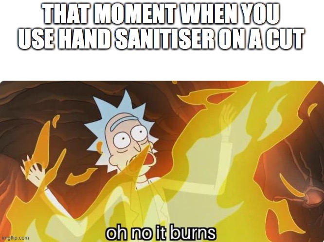 Oh no it burns Rick and Morty | THAT MOMENT WHEN YOU USE HAND SANITISER ON A CUT | image tagged in oh no it burns rick and morty | made w/ Imgflip meme maker