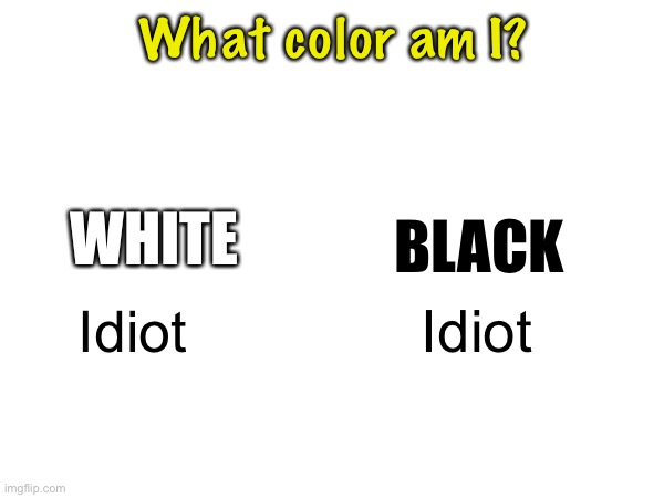 Repost to know your color :puppydogeyes: | What color am I? BLACK; WHITE; Idiot; Idiot | image tagged in balls | made w/ Imgflip meme maker