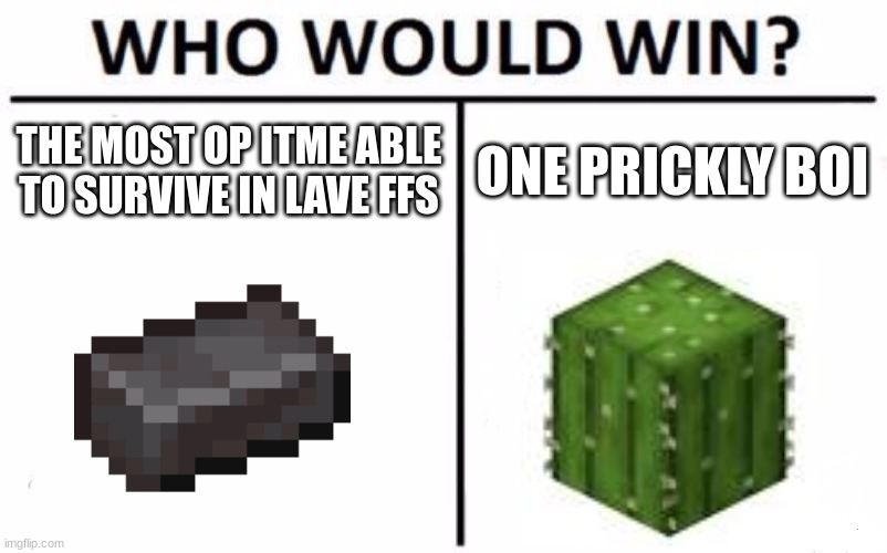 Who Would Win? | THE MOST OP ITME ABLE TO SURVIVE IN LAVE FFS; ONE PRICKLY BOI | image tagged in memes,who would win | made w/ Imgflip meme maker